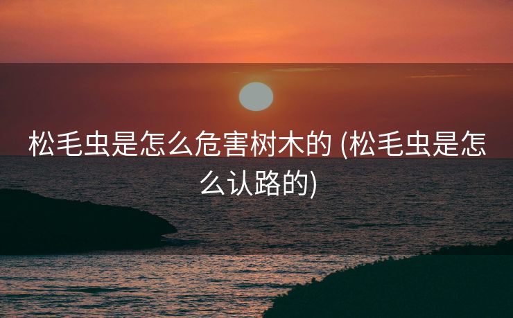 松毛虫是怎么危害树木的 (松毛虫是怎么认路的)