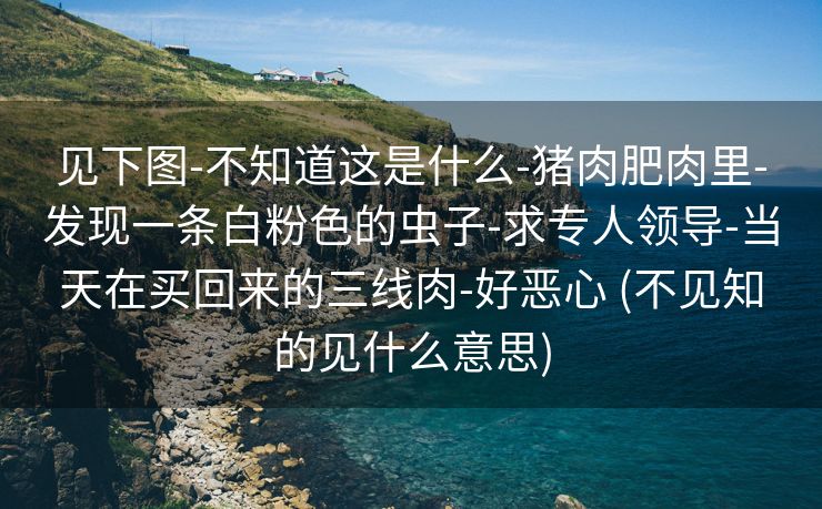 见下图-不知道这是什么-猪肉肥肉里-发现一条白粉色的虫子-求专人领导-当天在买回来的三线肉-好恶心 (不见知的见什么意思)