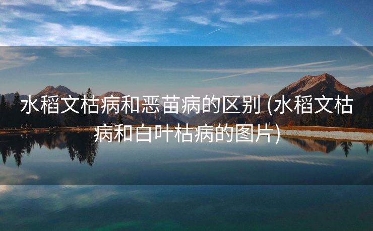 水稻文枯病和恶苗病的区别 (水稻文枯病和白叶枯病的图片)