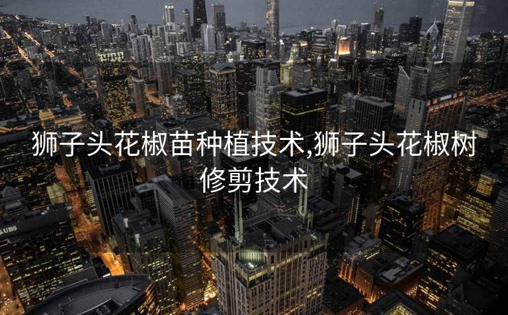 狮子头花椒苗种植技术,狮子头花椒树修剪技术