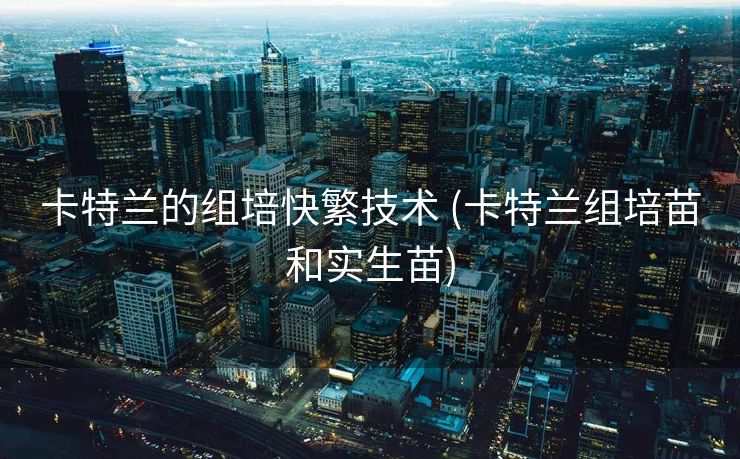 卡特兰的组培快繁技术 (卡特兰组培苗和实生苗)