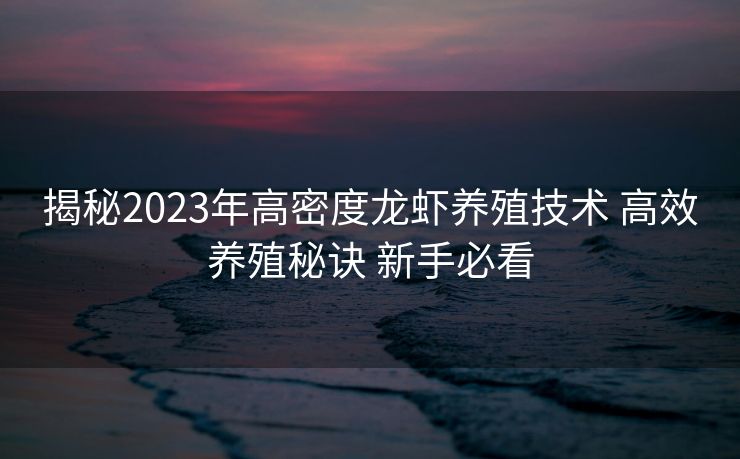 揭秘2023年高密度龙虾养殖技术 高效养殖秘诀 新手必看
