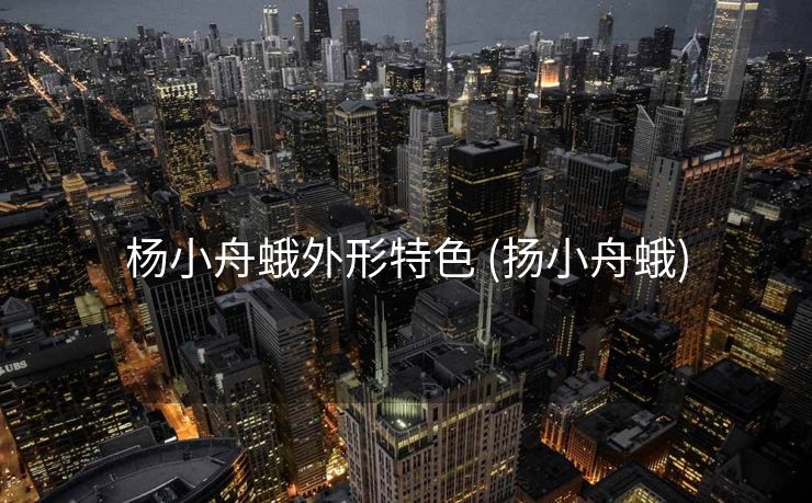 杨小舟蛾外形特色 (扬小舟蛾)