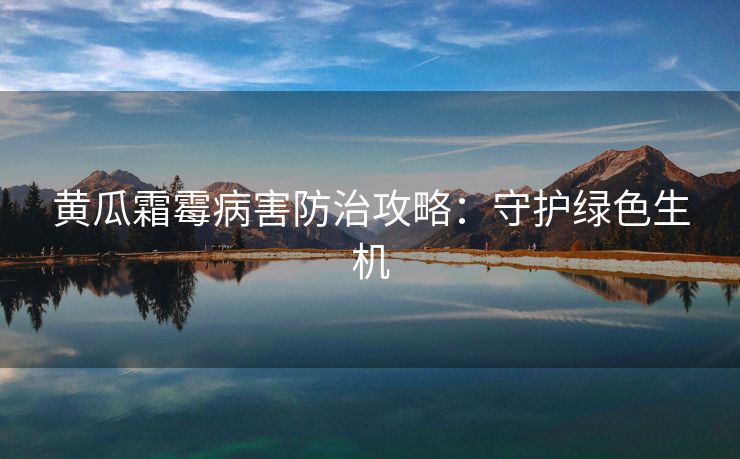 黄瓜霜霉病害防治攻略：守护绿色生机