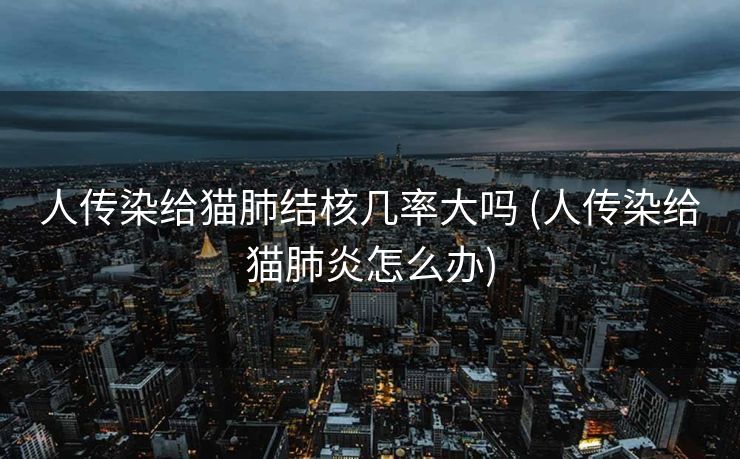 人传染给猫肺结核几率大吗 (人传染给猫肺炎怎么办)