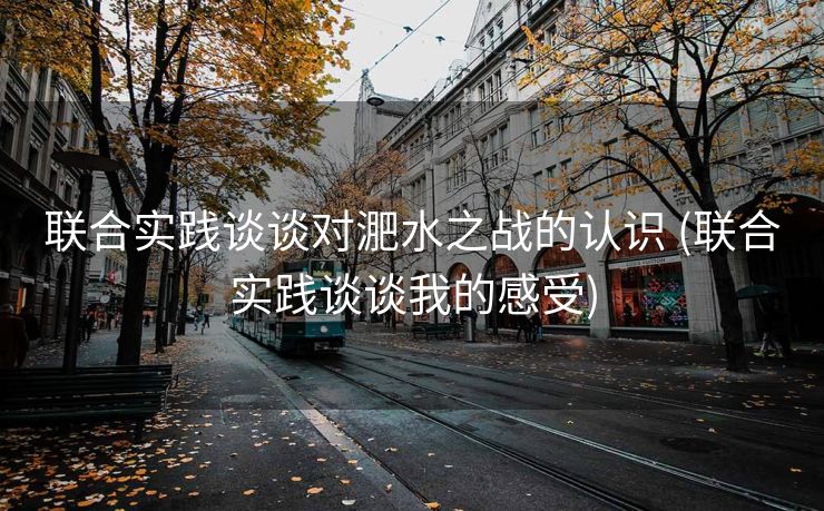联合实践谈谈对淝水之战的认识 (联合实践谈谈我的感受)
