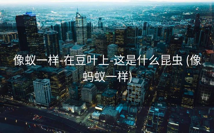 像蚁一样-在豆叶上-这是什么昆虫 (像蚂蚁一样)