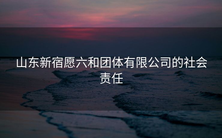 山东新宿愿六和团体有限公司的社会责任