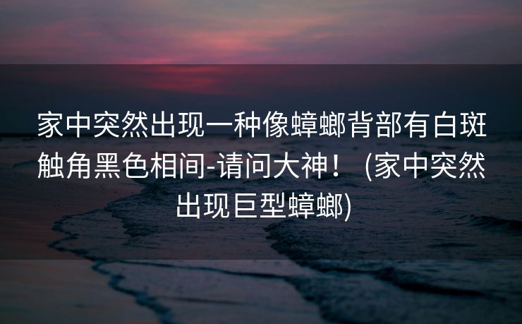 家中突然出现一种像蟑螂背部有白斑触角黑色相间-请问大神！ (家中突然出现巨型蟑螂)