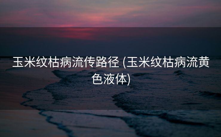 玉米纹枯病流传路径 (玉米纹枯病流黄色液体)