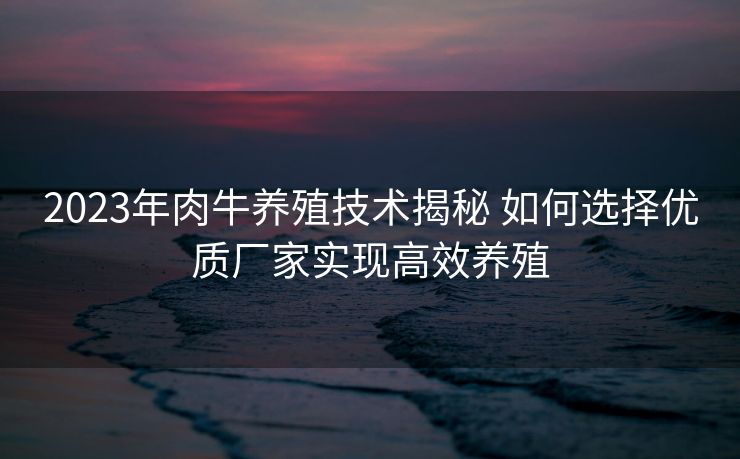 2023年肉牛养殖技术揭秘 如何选择优质厂家实现高效养殖