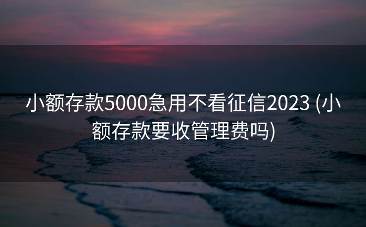 小额存款5000急用不看征信2023 (小额存款要收管理费吗)