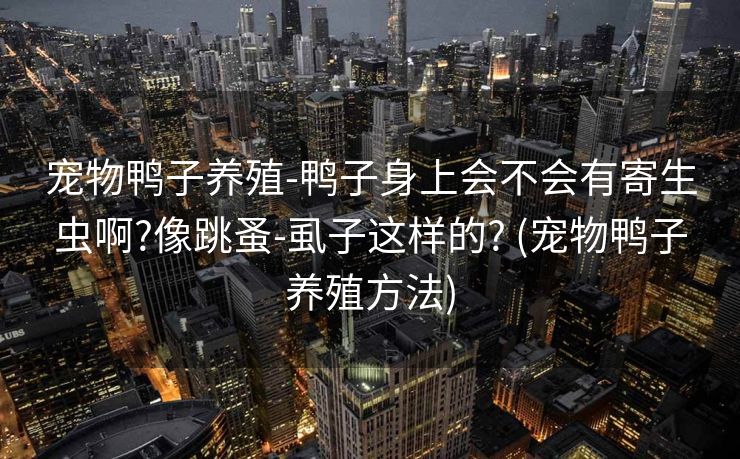 宠物鸭子养殖-鸭子身上会不会有寄生虫啊?像跳蚤-虱子这样的? (宠物鸭子养殖方法)