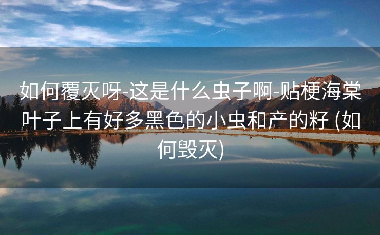 如何覆灭呀-这是什么虫子啊-贴梗海棠叶子上有好多黑色的小虫和产的籽 (如何毁灭)