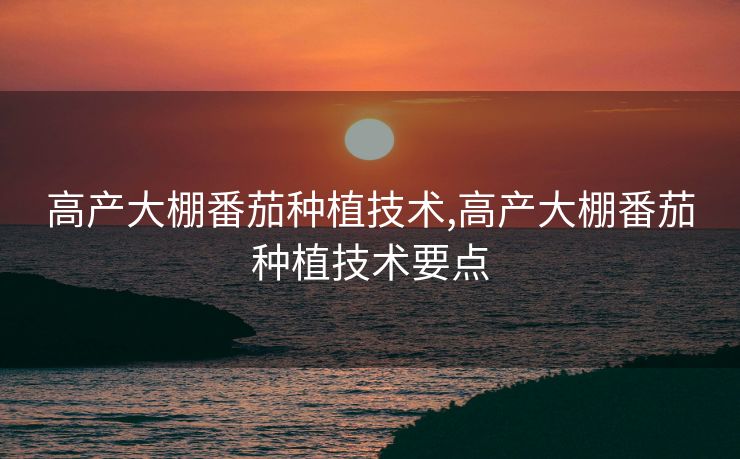 高产大棚番茄种植技术,高产大棚番茄种植技术要点