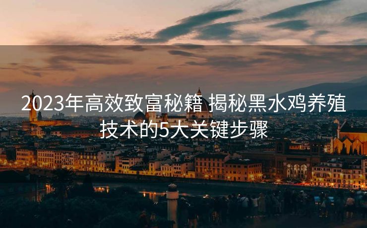 2023年高效致富秘籍 揭秘黑水鸡养殖技术的5大关键步骤