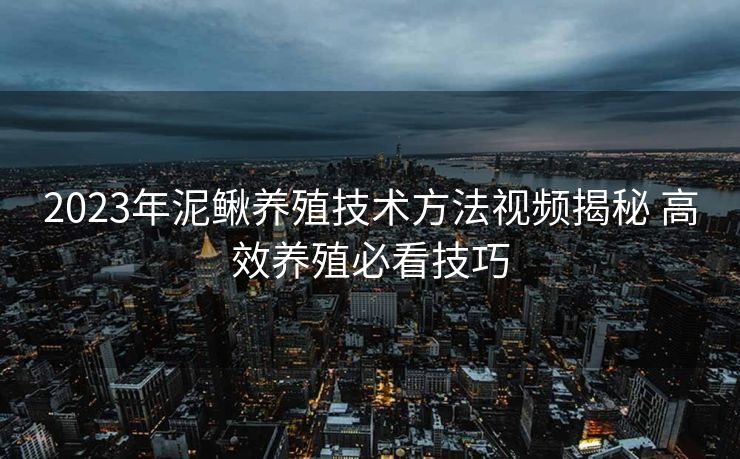 2023年泥鳅养殖技术方法视频揭秘 高效养殖必看技巧