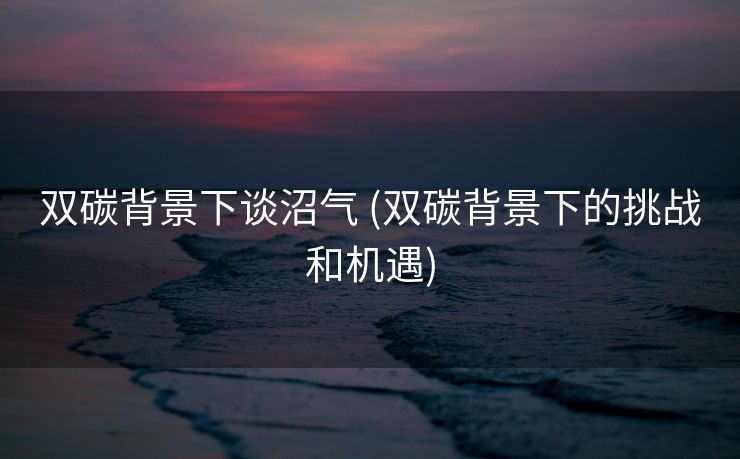 双碳背景下谈沼气 (双碳背景下的挑战和机遇)