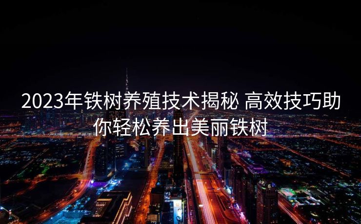 2023年铁树养殖技术揭秘 高效技巧助你轻松养出美丽铁树