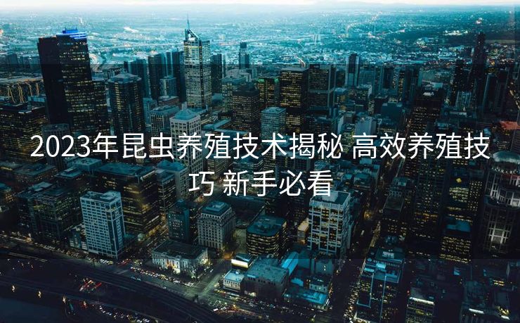2023年昆虫养殖技术揭秘 高效养殖技巧 新手必看