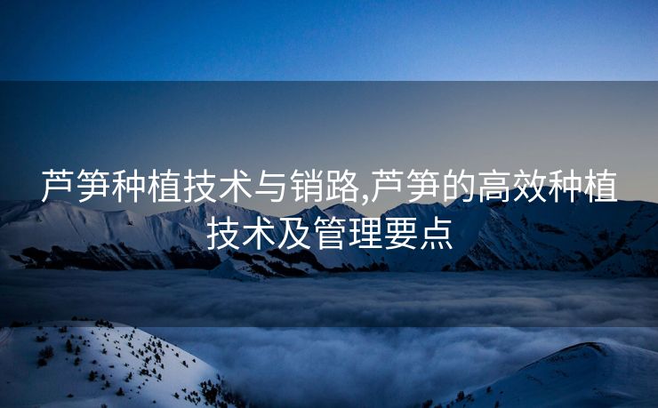 芦笋种植技术与销路,芦笋的高效种植技术及管理要点