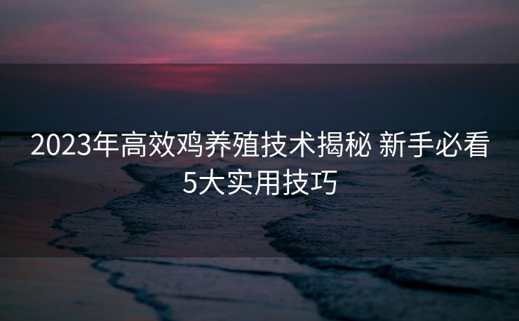 2023年高效鸡养殖技术揭秘 新手必看5大实用技巧