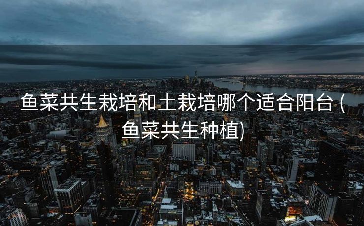 鱼菜共生栽培和土栽培哪个适合阳台 (鱼菜共生种植)