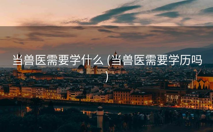 当兽医需要学什么 (当兽医需要学历吗)