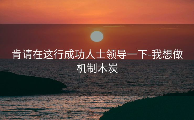 肯请在这行成功人士领导一下-我想做机制木炭