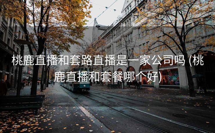 桃鹿直播和套路直播是一家公司吗 (桃鹿直播和套餐哪个好)