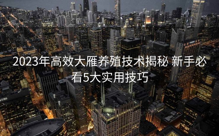 2023年高效大雁养殖技术揭秘 新手必看5大实用技巧
