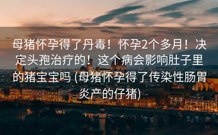 母猪怀孕得了丹毒！怀孕2个多月！决定头孢治疗的！这个病会影响肚子里的猪宝宝吗 (母猪怀孕得了传染性肠胃炎产的仔猪)