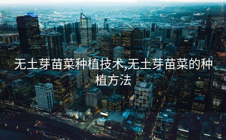 无土芽苗菜种植技术,无土芽苗菜的种植方法