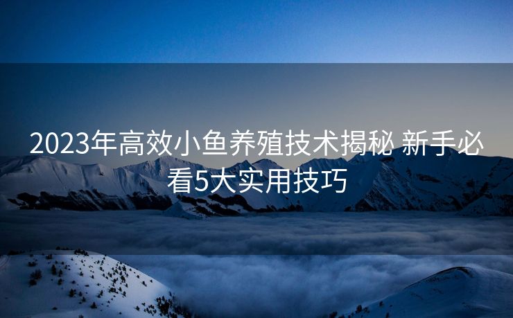 2023年高效小鱼养殖技术揭秘 新手必看5大实用技巧