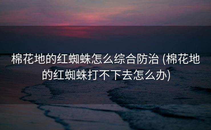 棉花地的红蜘蛛怎么综合防治 (棉花地的红蜘蛛打不下去怎么办)