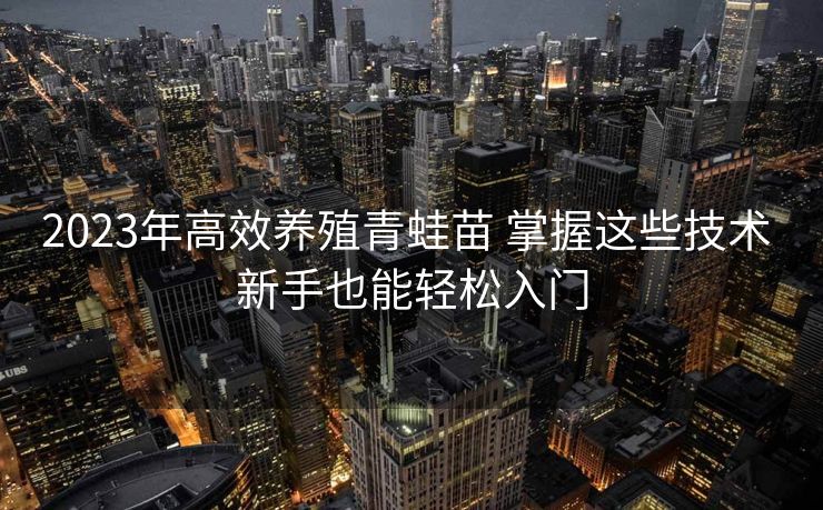 2023年高效养殖青蛙苗 掌握这些技术 新手也能轻松入门