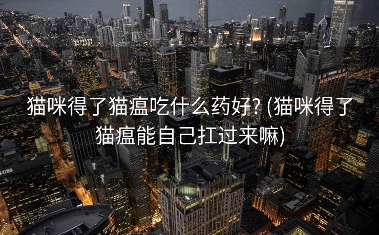 猫咪得了猫瘟吃什么药好? (猫咪得了猫瘟能自己扛过来嘛)