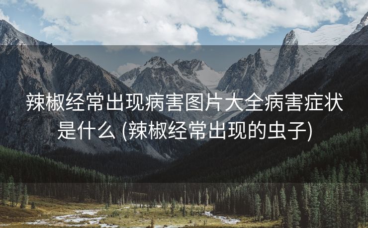 辣椒经常出现病害图片大全病害症状是什么 (辣椒经常出现的虫子)