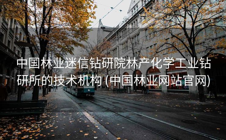 中国林业迷信钻研院林产化学工业钻研所的技术机构 (中国林业网站官网)