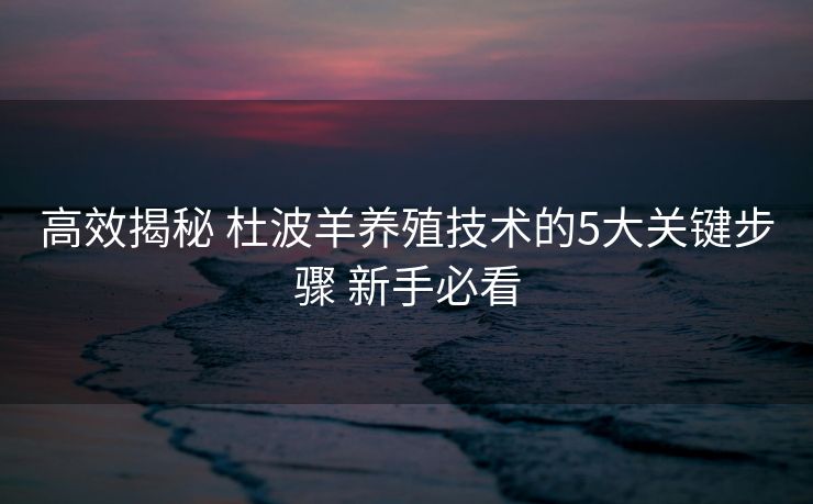 高效揭秘 杜波羊养殖技术的5大关键步骤 新手必看 高效揭秘 杜波羊养殖技术的5大关键步骤 新手必看