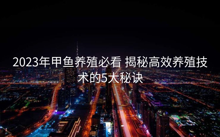 2023年甲鱼养殖必看 揭秘高效养殖技术的5大秘诀