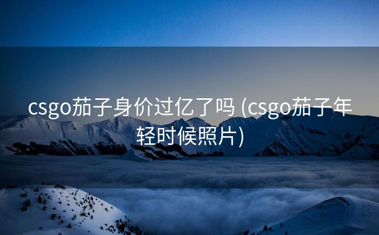 csgo茄子身价过亿了吗 (csgo茄子年轻时候照片)