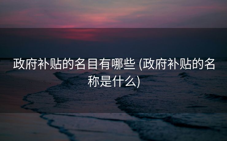 政府补贴的名目有哪些 (政府补贴的名称是什么)