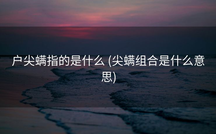 户尖螨指的是什么 (尖螨组合是什么意思)