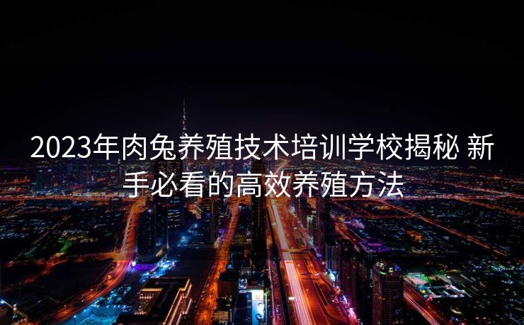 2023年肉兔养殖技术培训学校揭秘 新手必看的高效养殖方法 2023年肉兔养殖技术培训学校揭秘 新手必看的高效养殖方法