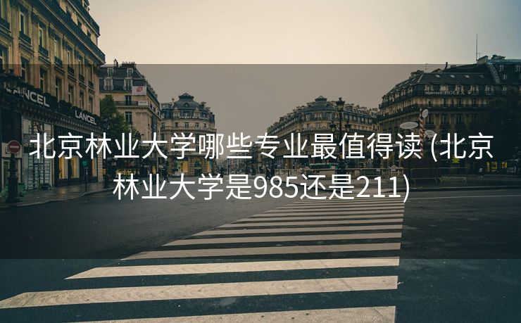 北京林业大学哪些专业最值得读 (北京林业大学是985还是211)
