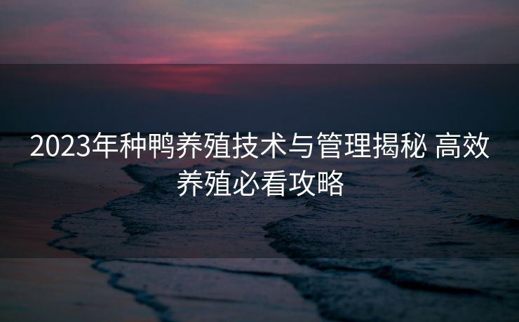 2023年种鸭养殖技术与管理揭秘 高效养殖必看攻略