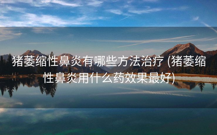 猪萎缩性鼻炎有哪些方法治疗 (猪萎缩性鼻炎用什么药效果最好)