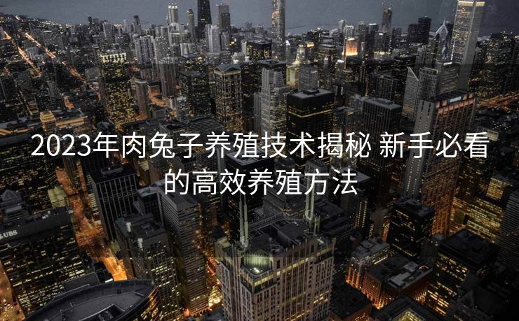 2023年肉兔子养殖技术揭秘 新手必看的高效养殖方法