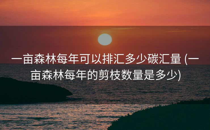 一亩森林每年可以排汇多少碳汇量 (一亩森林每年的剪枝数量是多少)
